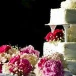 11 Cost-Cutting Cake Tips 11 Cost-Cutting Cake Tips