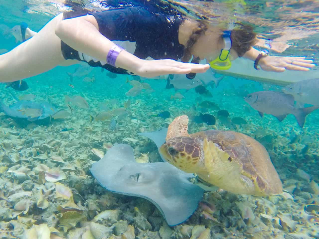 Diving in Belize