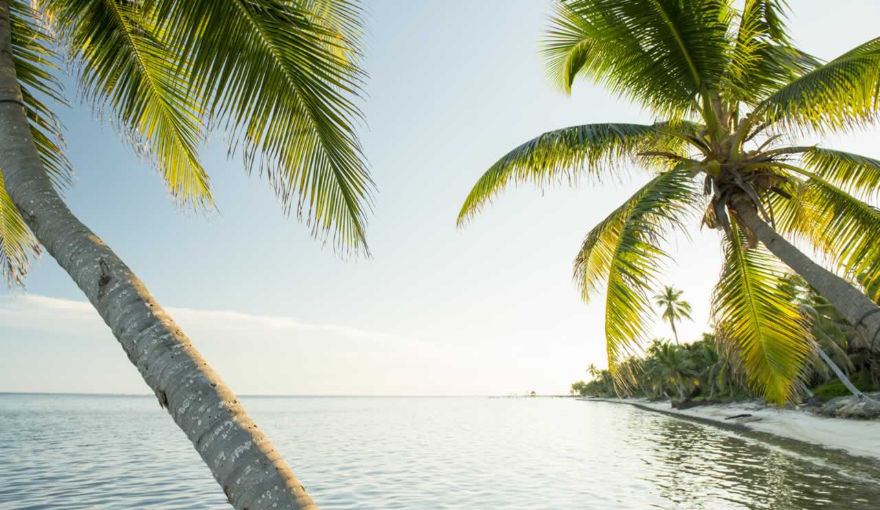 Private Island Escape