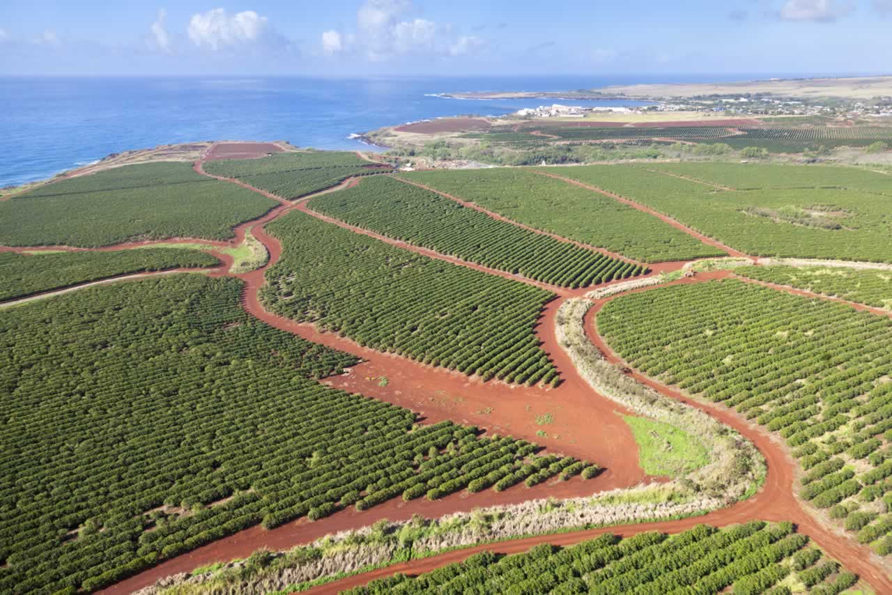 Kauai Hawaii