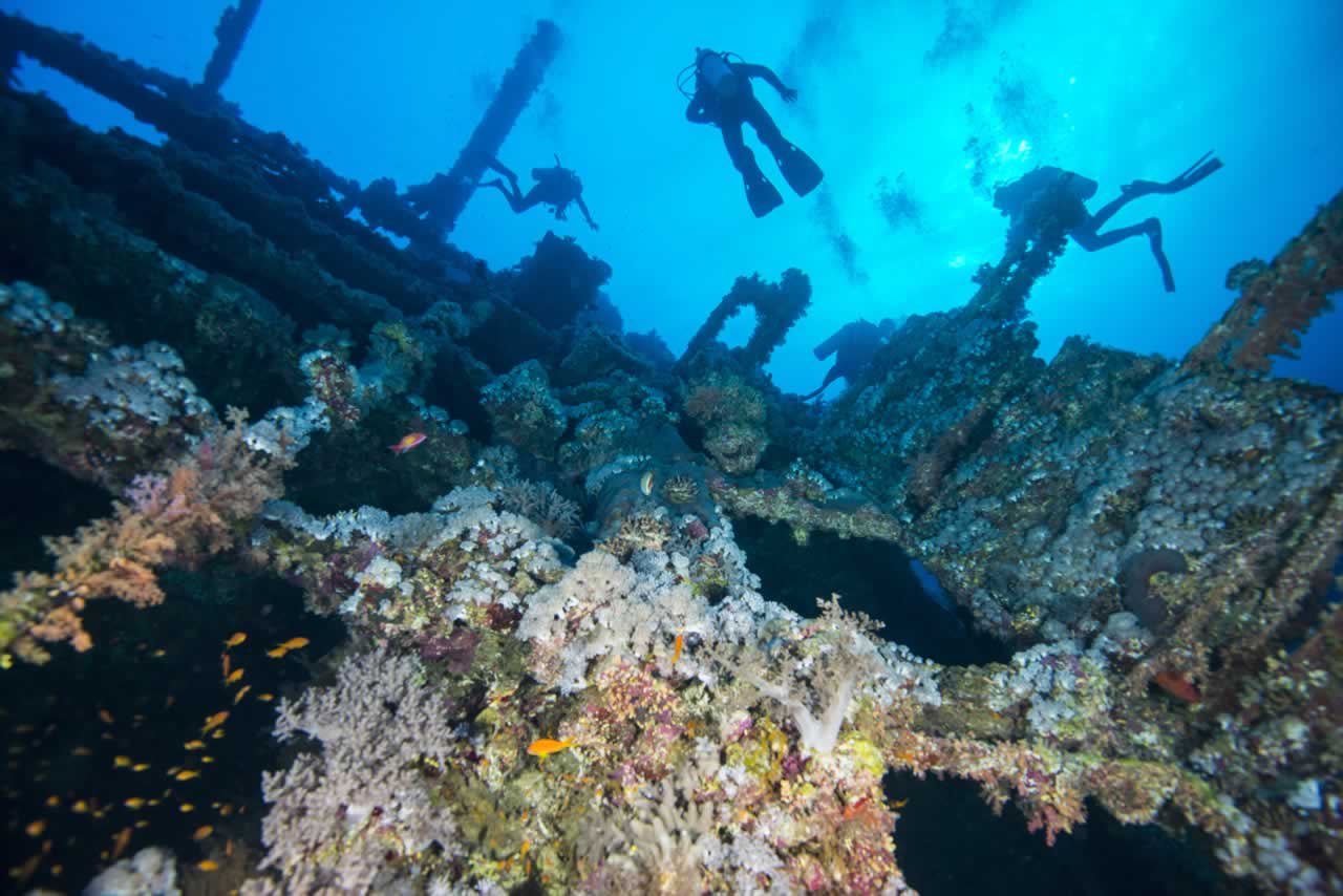 Red Sea, Egypt
